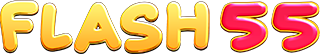   FLASH55